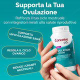 Ovulation Support (IT) - Conceive Plus® Europe